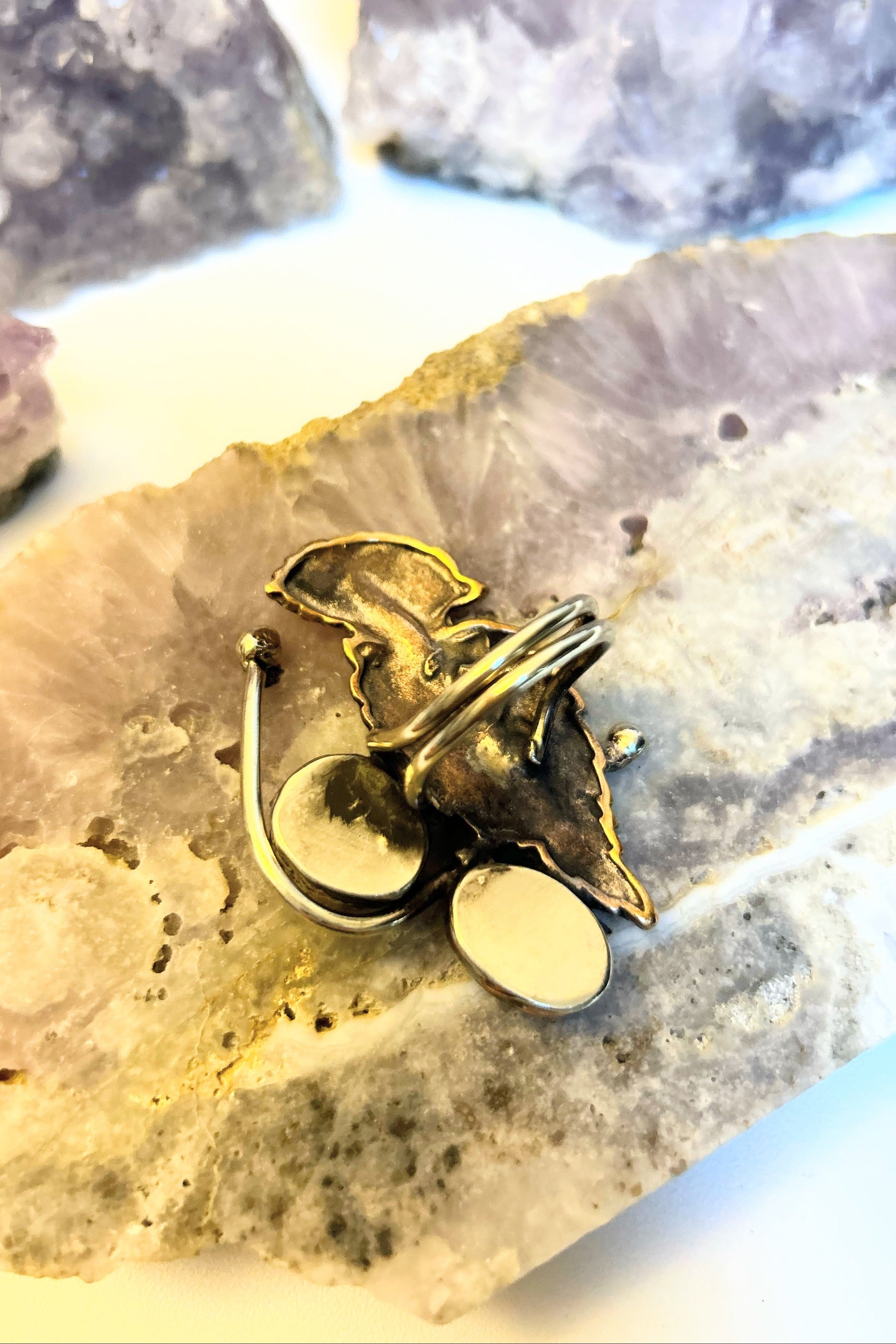 Bird Ring