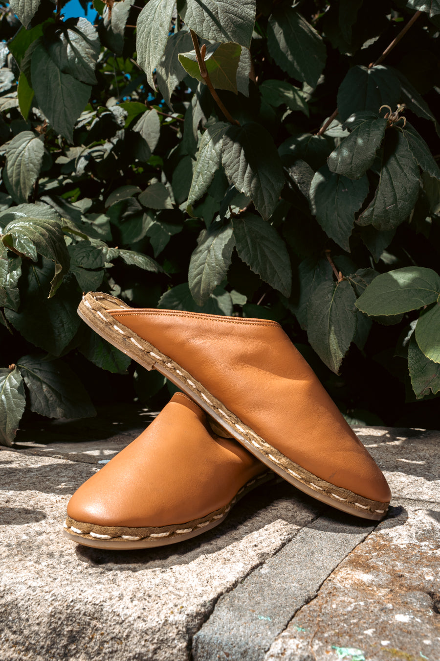 Picasso Mules in Sienna