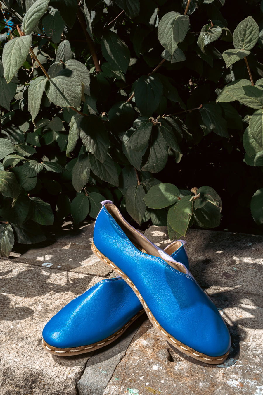 Lu Loafers in Colbalt & Lavander